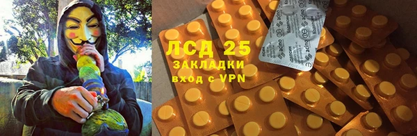 индика Покровск