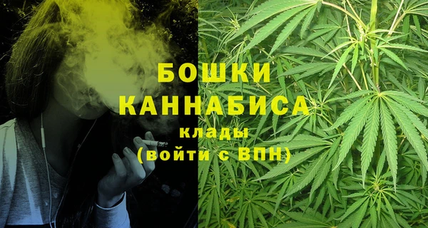 прущие грибы Покров