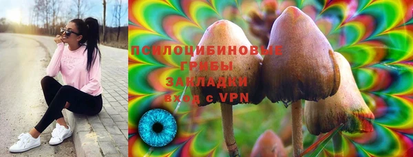 apvp Алексеевка