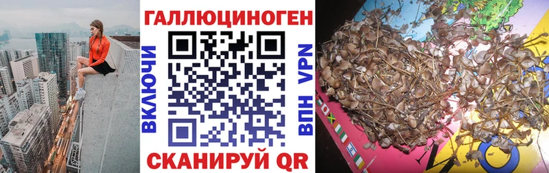 дарнет шоп  гидра зеркало  Псилоцибиновые грибы MAGIC MUSHROOMS  Янаул 